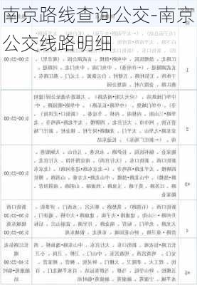 探索南京交通脈絡(luò)，最新公交線路一覽