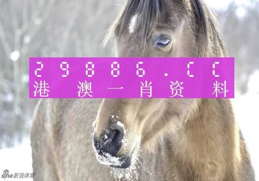 澳門(mén)一肖一碼100%期期精準(zhǔn)／98期｜最新答案解釋落實(shí)