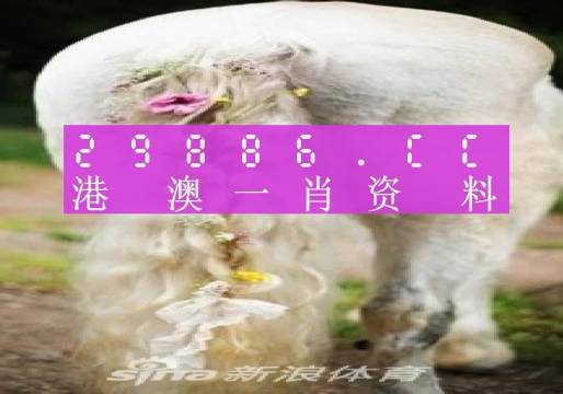 2024澳門必中一肖,準(zhǔn)確資料解釋落實(shí)_Essential53.195