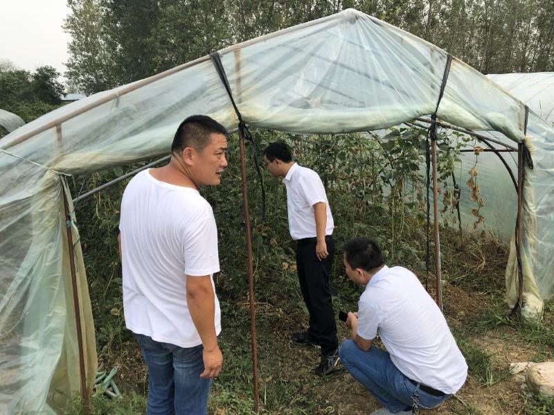 謝家集區(qū)水利局推動水利建設(shè)與發(fā)展，為民造福，最新動態(tài)報道